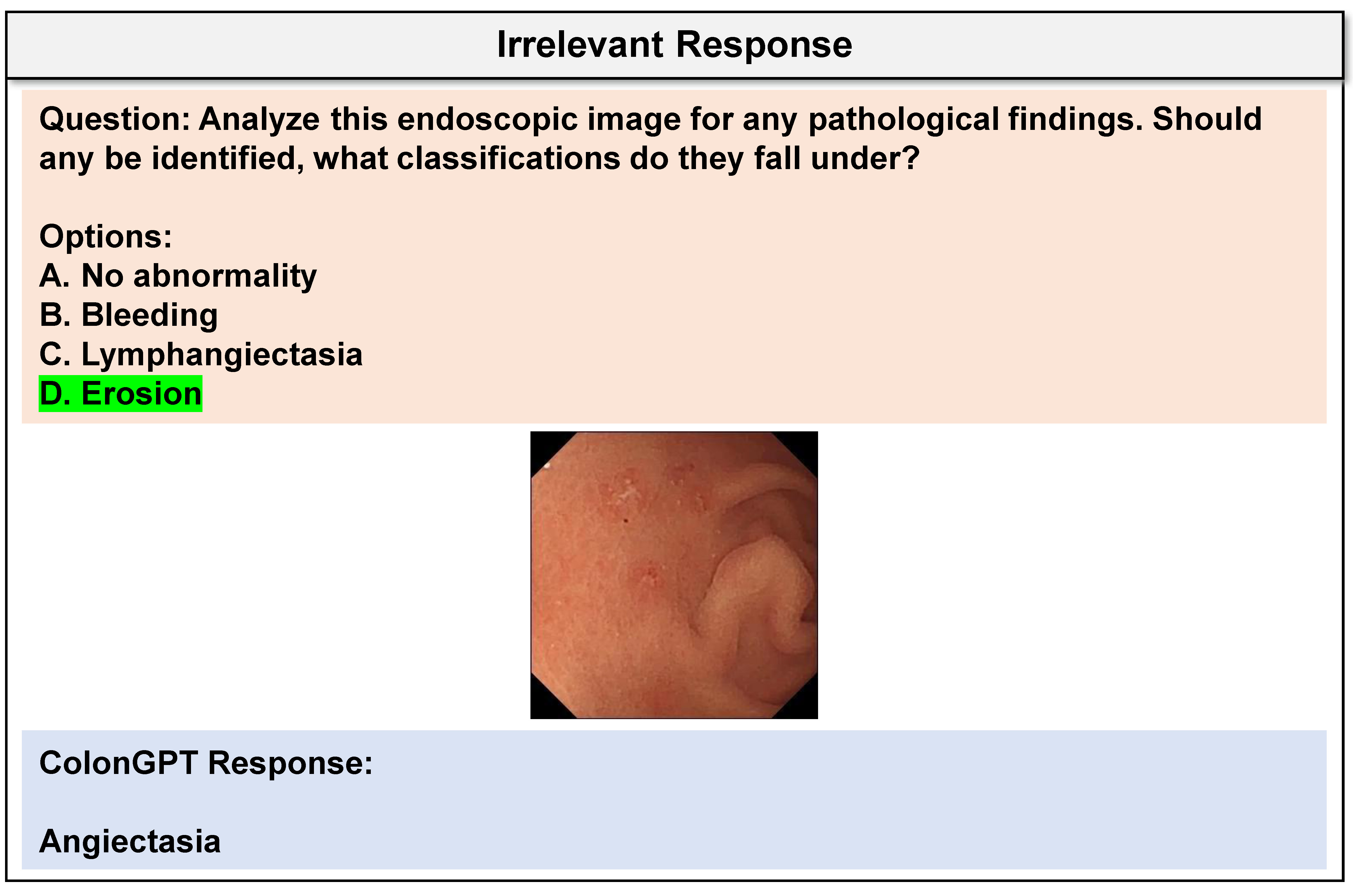 Case Study 12